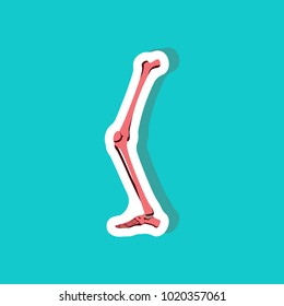 leg bone paper sticker on stylish background