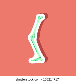 leg bone paper sticker on stylish background
