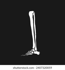 leg bone skeleton vector illustration