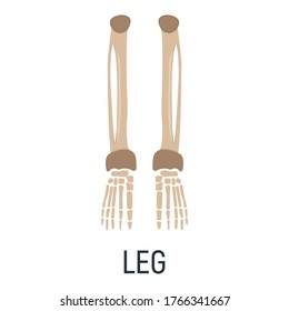 Leg bone, xray concept icon, roentgen human body image isolated on white, flat vector illustration. Skeleton part of man organism, silhouette black biological science.