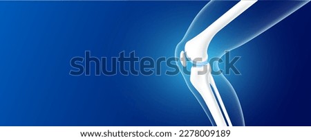 Leg bones and knee joint cartilage side on blue background with copy space for text. ฺHuman skeleton anatomy healthy. Medical health care science concept. Realistic 3D vector.