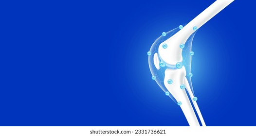 Leg bones and knee joint side healthy. Collagen and calcium line hexagon connecting surround care bone cartilage. Human skeleton anatomy with copy space for text. Realistic 3D vector.