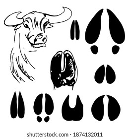 the leg of a cow, a simple drawing on a white background, set