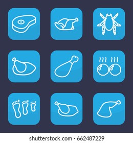 Leg icon. set of 9 outline icons such as beetle, chicken, meat leg, beef, meat