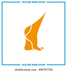 Leg icon vector illustration eps10.