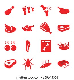 Leg icons set. set of 16 leg filled icons such as beetle, tights, chicken, beef, x ray, meat