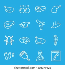 Leg icons set. set of 16 leg outline icons such as beetle, tights, chicken, beef, x ray, man with broken arm, meat
