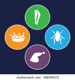 leg icons set. Set of 4 leg filled icons such as beetle