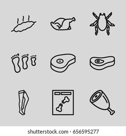 Leg icons set. set of 9 leg outline icons such as beetle, tights, chicken, beef, x ray, meat