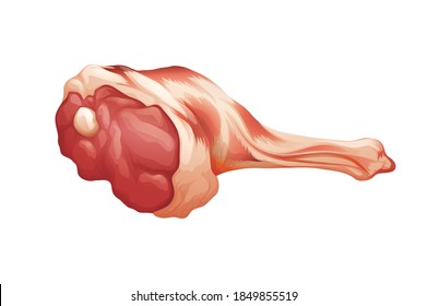 Leg of Lamb vector illustration isolated on white background