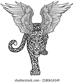 Legendary winged snow leopard. Mythological big cat with open wings and gaze looking straight. Roaring aggressive creature crawl stalking. Front view. Black white tattoo style vector