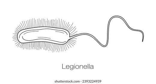 Dibujo de la línea de la bacteria Legionella. Bacterio extraído a mano que causa enfermedad legionaria. Esbozo de microorganismo de Legionella pneumophila, parásito intracelular facultativo. Ilustración del vector