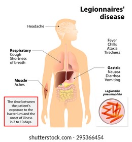 Legionnaires disease or legionellosis or Legion fever. Signs and symptoms  is a form of atypical pneumonia.  Human silhouette with highlighted internal organs