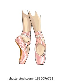 Legs of ballerina in ballet shoes , colored drawing, realistic. Vector illustration of paints