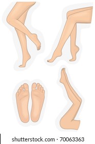 legs and feet