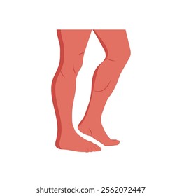 Legs, Human Body Part Illustration