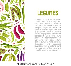 Legume Plant Banner Design with Pod and Bean Vector Template