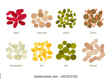 Legumes beans set in flat style. Vector illustration.