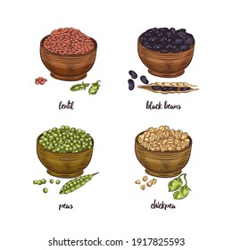 Legumes in bowl vector sketch collection. Red lentils, black beans, peas and chickpea isolated on white background.