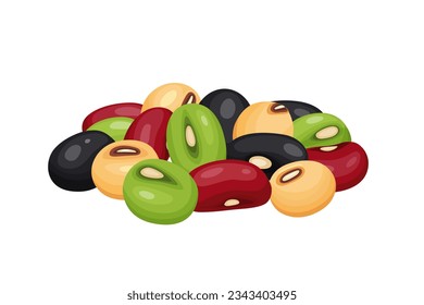 Legumes con diferentes tipos de frijoles. Conjunto vectorial de semillas de lentejas