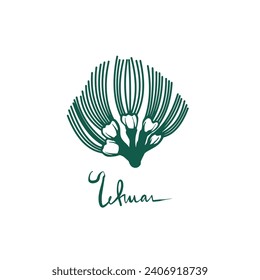 lehua botanical vector illustration, logo concept