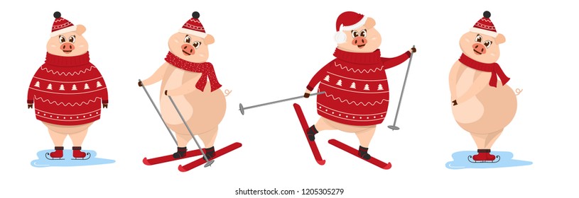 Leisure activities in winter. Winter sports illustration. Set of funny pig for 2019