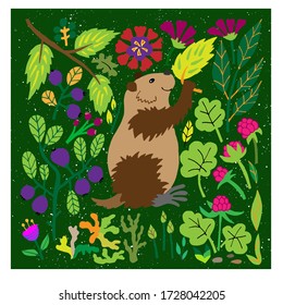 Lemming flat hand drawn illustration. Cute rodent on a botanical background. Cloudberries, lingonberries, blueberries, moss, birch leaves, willow in the Scandinavian style. Wild northern forest vector