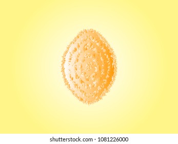 Lemon abstract polygon vector on a yellow background