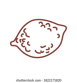 Abstrakte Lemon-Skizze. Vektorgrafik