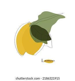 Lemon abstract, vector, fresca, vitamina, dieta, jugoso.Print , abstract, minimalismo , doodles frutales. Bio limón.