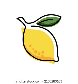 Lemon art vector. Fresh lemon fruits on summer season. Summer fruit