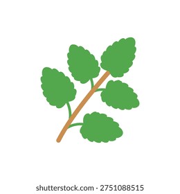 Lemon Balm Herb with Bold Silhouette and Solid Fills Botanical Plant Illustration