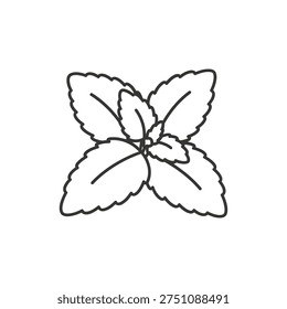 Lemon Balm Herb Flat Design Smooth Leaf Layering Botanical Green 2D Vector Illustration