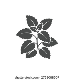 Lemon Balm Herb with Friendly Rounded Plant Silhouette Botanical Illustration