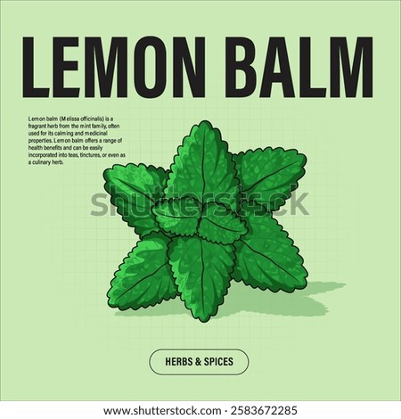 Lemon Balm Premium Vector Clipart High-Quality Illustration for Cooking Branding and Packaging