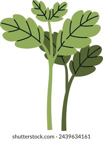 Ilustración vectorial microverde de brotes de bálsamo de limón