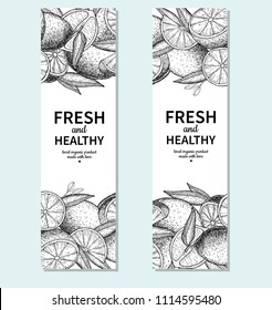 Lemon banner vector drawing. Citrus engraved fruit frame template. Hand drawn summer illustration. Vintage label, packaging design concept. Great for tea, juice, natural cosmetics, lemonade