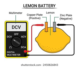 Batería de limón y multímetro - Batería electroquímica