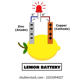 Lemon battery.Zinc and copper.Anode and cathode.Free energy electricity.Chemistry laboratory.Electrical experiments.Infographic.Education for School.Diagram for scientific.Vector illustration.