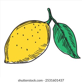 Línea negra de limón dibujada sobre un fondo blanco. Dibujo de Vector de frutas. Manchas Abstractas. Limones coloridos.