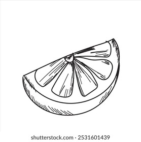 Lemon black line drawn on a white background. Vector drawing of fruits. Abstract stains. Colorful lemons.