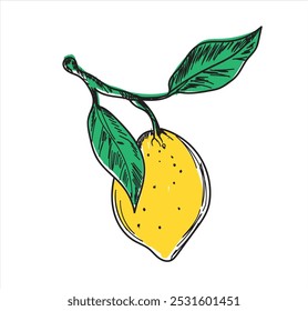 Lemon black line drawn on a white background. Vector drawing of fruits. Abstract stains. Colorful lemons.