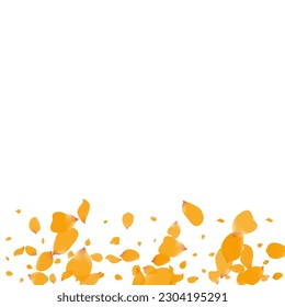 Fondo blanco del vector de desenfoque de flores de limón. Textura holandesa de Petal. Hermosa Ilustración de la Primavera de Narciso. Plantilla de vuelo rosa amarillo.