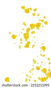 Lemon Blossom Flying Vector White Background. Japan Lotus Texture. Gold Rose Falling Poster. Mustard Flower Spring Wallpaper.