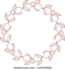 Lemon boarder. Vector. Isolated.