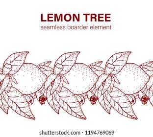 Lemon boarder. Vector. Isolated.