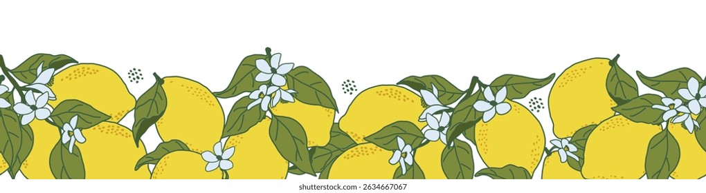 Lemon border vector illustration features a seamless pattern of bright yellow lemons and delicate white flowers with green leaves. Ideal for summer-themed designs and product packaging.