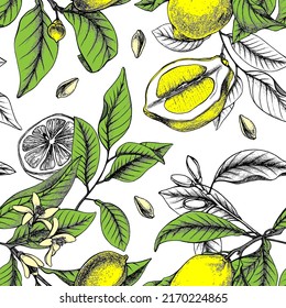 Lemon botanical vector seamless pattern. Outline lemon flowers and leaves. Citrus lemonade ornament.