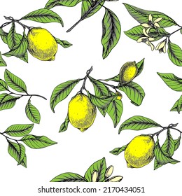 Lemon botanical vector seamless pattern. Lemon flowers and leaves. Citrus lemonade ornament.