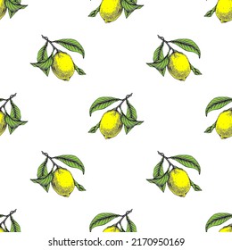 Lemon botanical vector seamless pattern. Lemons, Limes repeats. Citrus lemonade ornament.